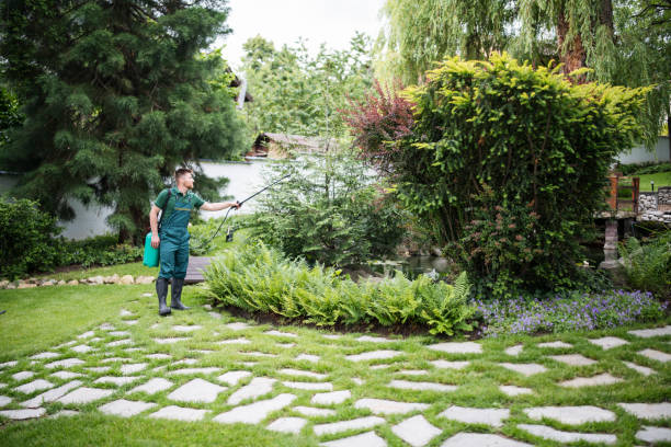 Reliable Seville, OH Pest Control Solutions