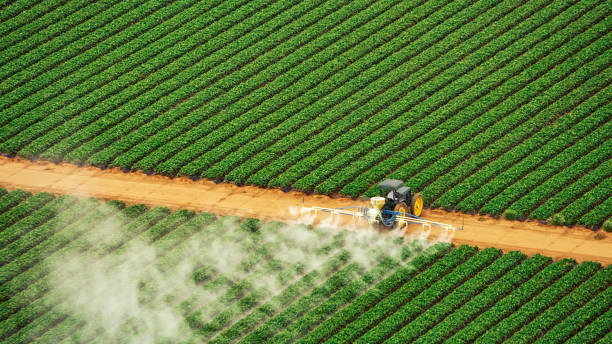 Best Pest Control for Homes  in Seville, OH