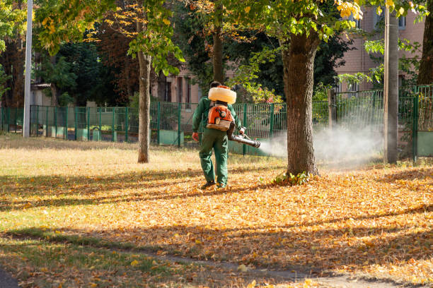Best Affordable Pest Control Services  in Seville, OH