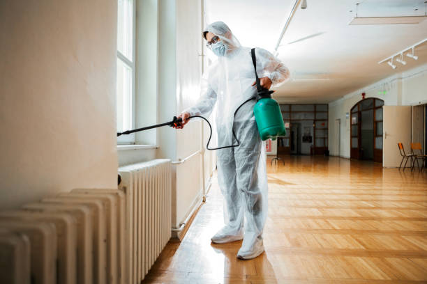 Best Affordable Pest Control Services  in Seville, OH