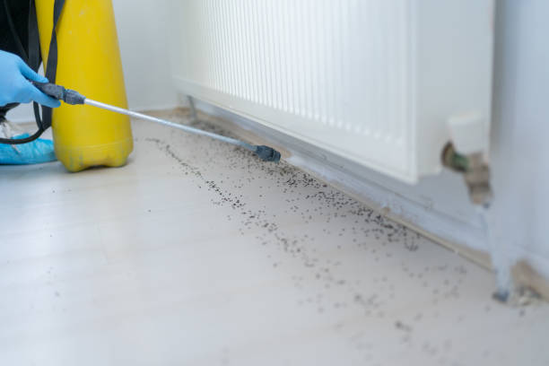 Best Pest Prevention Services  in Seville, OH